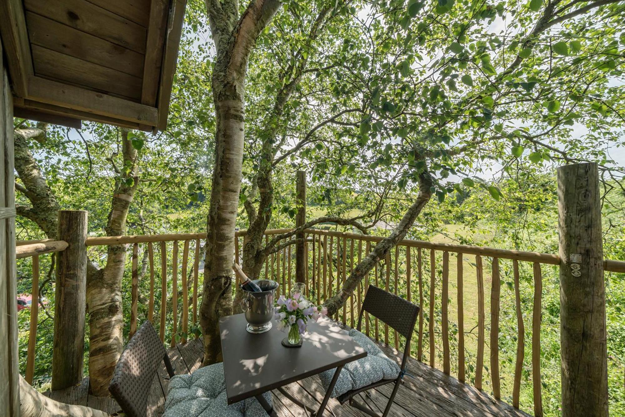 The Treehouse At Salcombe Farm Villa Екстериор снимка