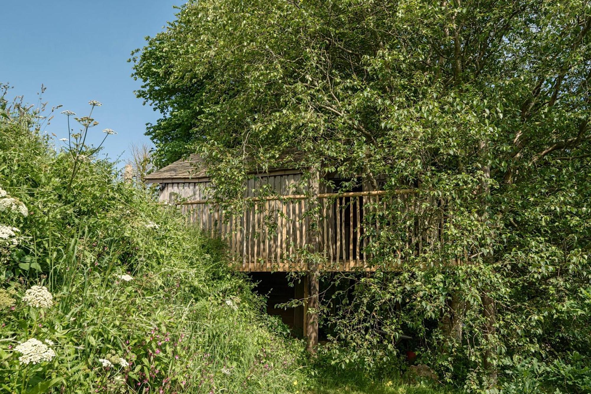 The Treehouse At Salcombe Farm Villa Екстериор снимка