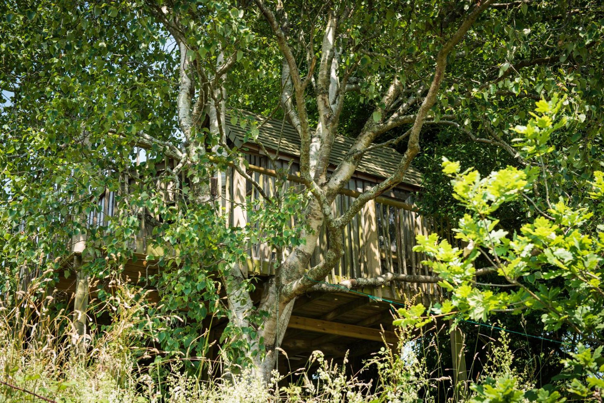 The Treehouse At Salcombe Farm Villa Екстериор снимка